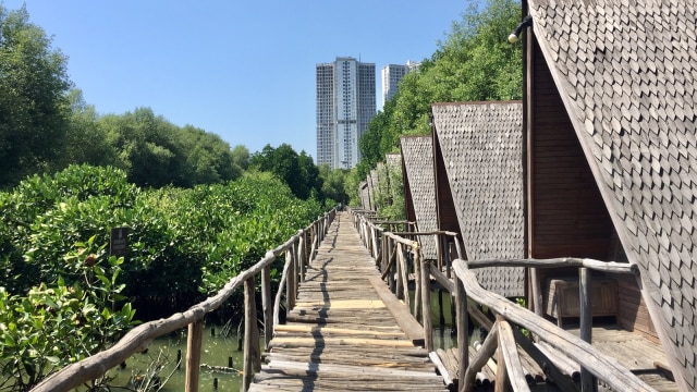 Taman Wisana, Mother Mangrove